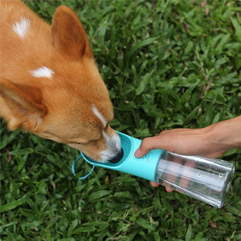 UPSKY-Dog-Water-Bottle